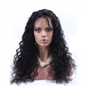 250% Density Brazilian Virgin Hair Loose Wave Lace Front Wig