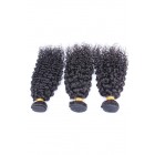 You May Natural Color Brazilian Curl Brazilian Virgin Human Hair Weave 3pcs Bundles