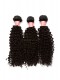 Brazilian Virgin Human Hair Kinky Curly Lace Closure with 3pcs Hair Weaves