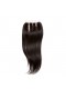 Mongolian Virgin Hair Silky Straight Free Part Lace Closure 4x4inches Natural Color